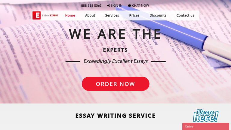 Essay.Expert review