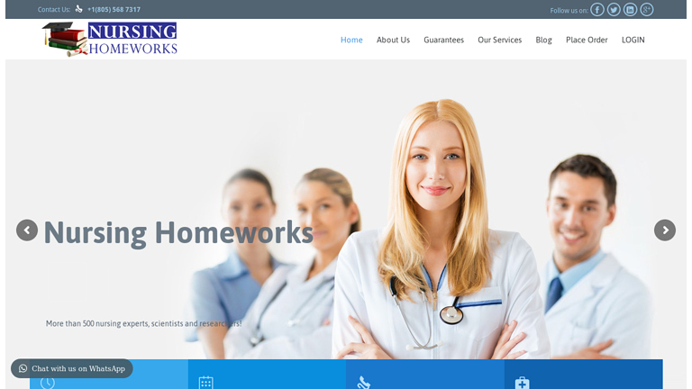NursingHomeworks.com review
